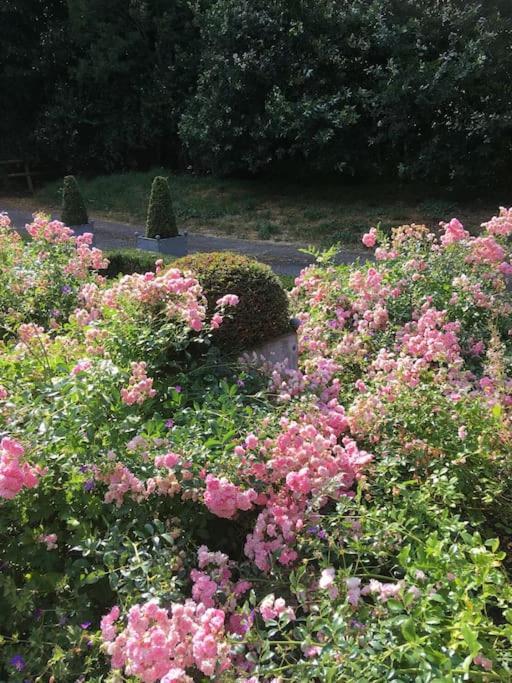 Highfield Lodge Tring Esterno foto