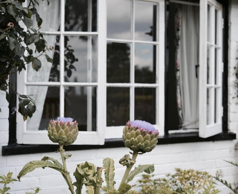 Highfield Lodge Tring Esterno foto